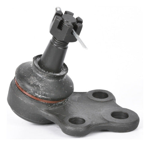 Rotula Inf. Maxima 85-94 Stanza 86-92