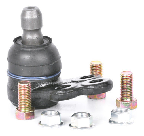 Rotula Inf. Spark Ii 16-21