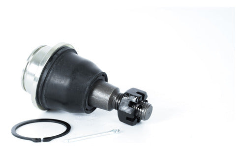 Rotula Inf. Ranger 13-23 Ranger Raptor 22-24