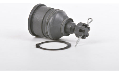 Rotula Inf. Cl 97-03 Tl 99-03 Accord 90-03 Odyssey 95-98