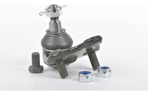 Rotula Inf. Rav 4 06-18