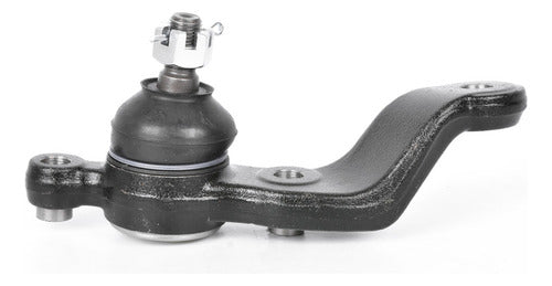 Rotula Inf. Der. Prerunner 95-04 Tacoma 95-04