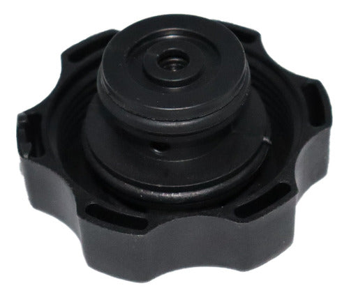 Tapon Deposito Anticongelante Chevrolet Cavalier 2.2l