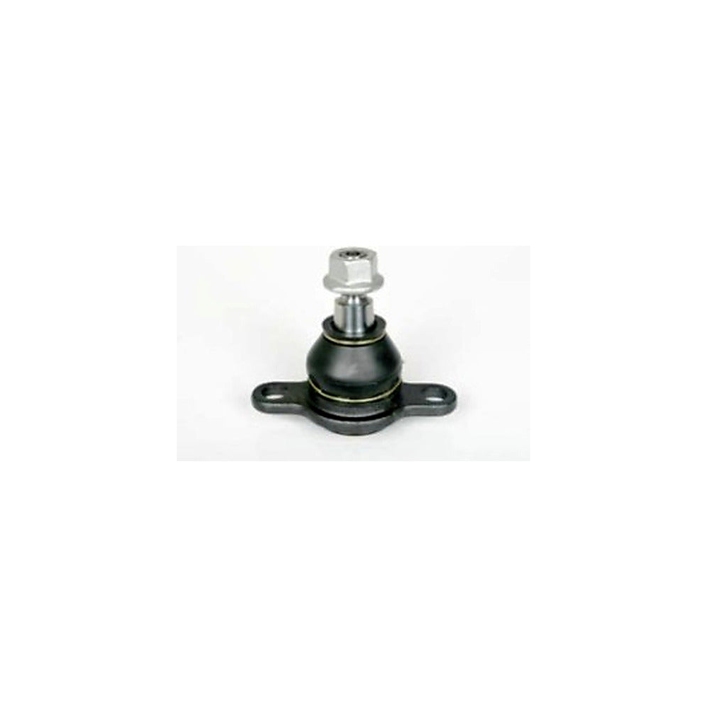 Rotula Inf. Eurovan 05-20 Transporter 05-20